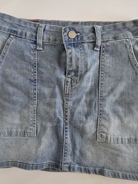 True Religion Skirt